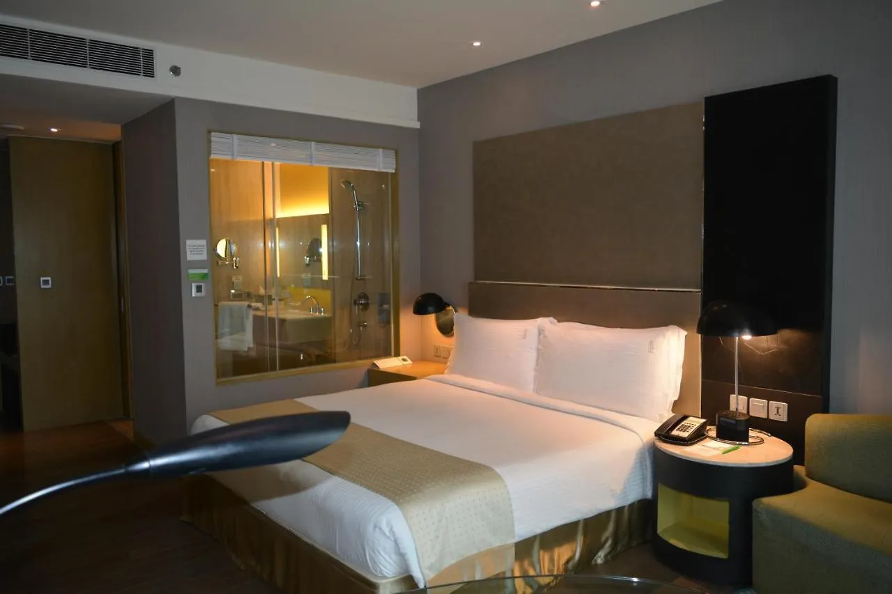 Holiday Inn New Delhi Aerocity By Ihg Indien